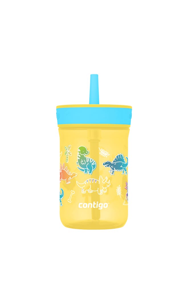 Kids’ Leighton Straw Tumbler with Spill-Proof Leak-Proof Lid, 14oz R9